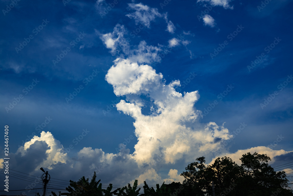 Obraz premium 犬のようにみえるタイの入道雲