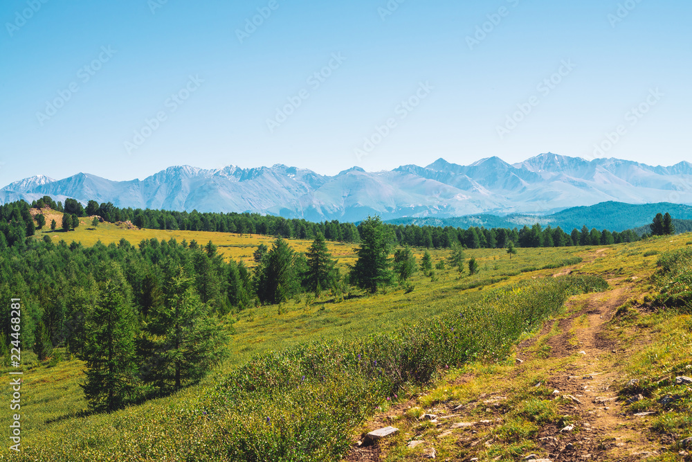 Naklejka premium Path to giant mountains with snow across green valley under clear blue sky. Meadow with rich vegetation of highlands in sunlight. Amazing snowy mountain landscape of majestic nature.