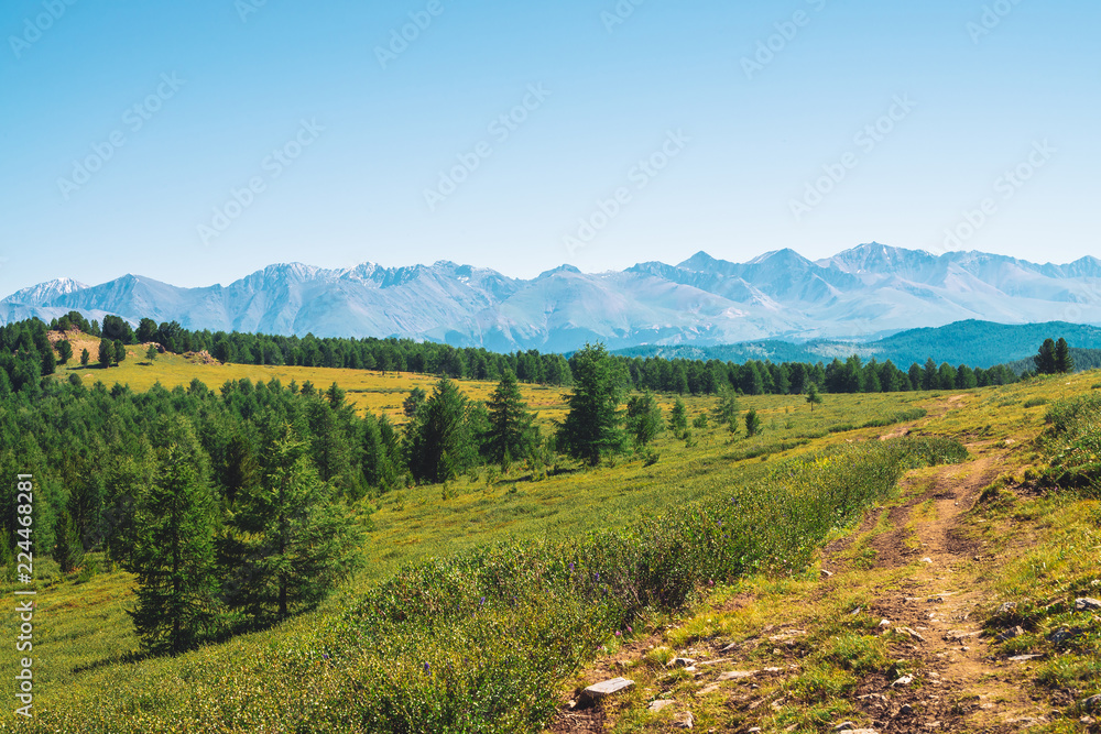 Path to giant mountains with snow across green valley under clear blue sky. Meadow with rich vegetation of highlands in sunlight. Amazing snowy mountain landscape of majestic nature.