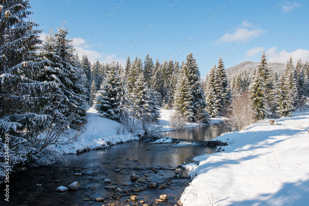 Winter water stream in the forest