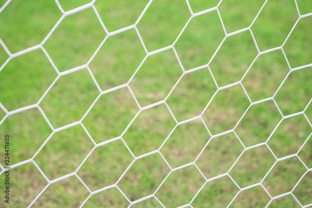 Fototapeta premium Mesh football goal 
