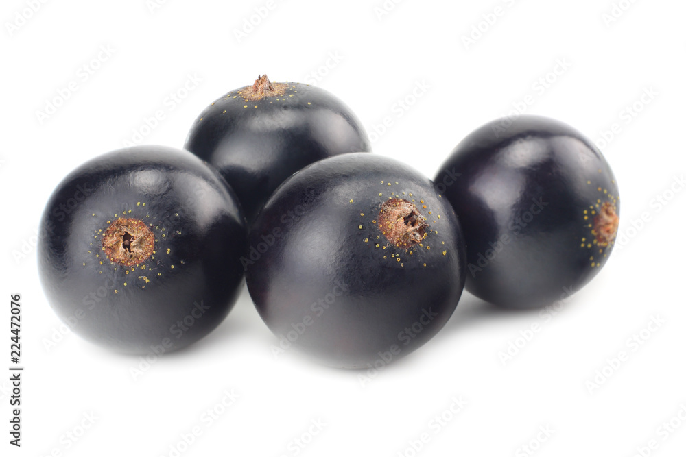 black currant isolated on white background. macro black currant isolated on white background. macro