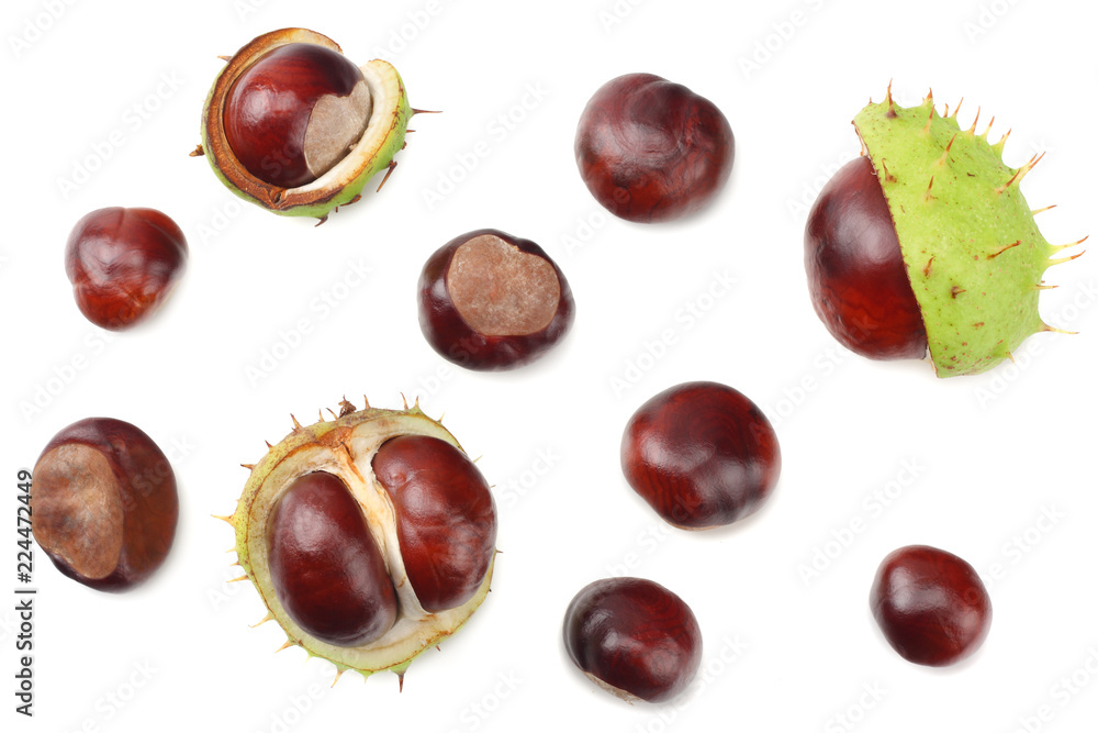 chestnuts isolated on white background. top view chestnuts isolated on white background. top view