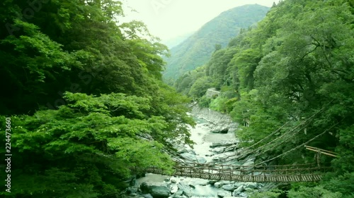 徳島, 徳島県, 祖谷のかずら橋, 空撮, カメラ前進