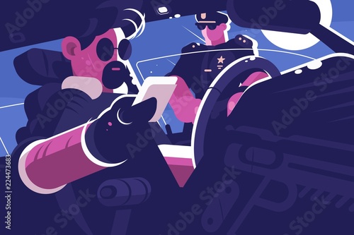 Driver stop by police patrol document verification