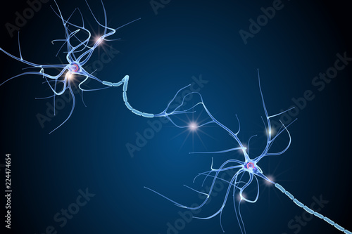 Nerve cell anatomy in details. 3D illustration