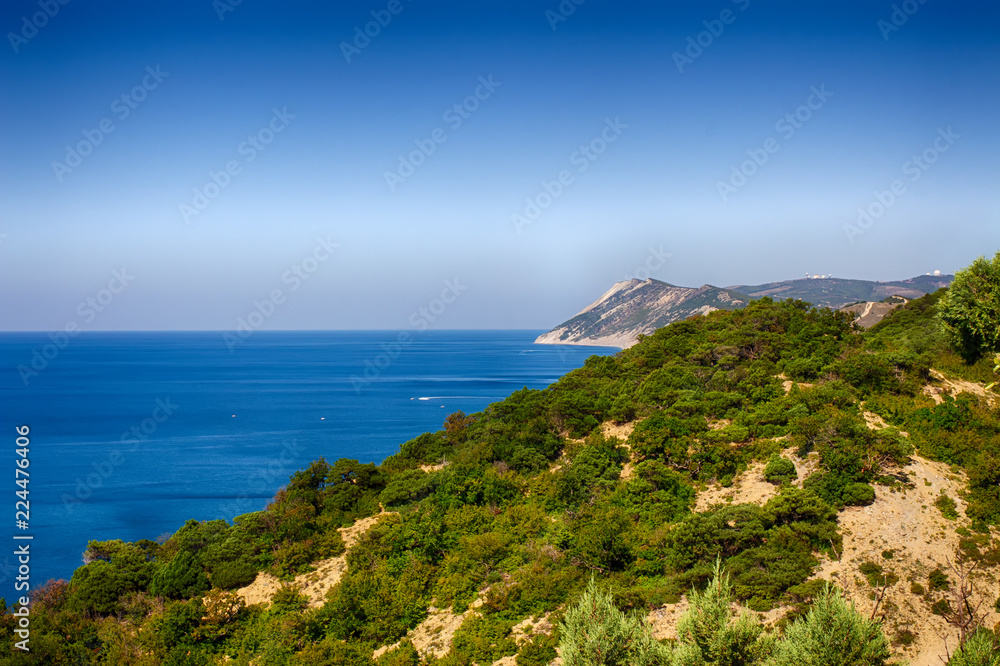 Seascape, clear sky. Summer panorama, green vegetation. Calm sea.