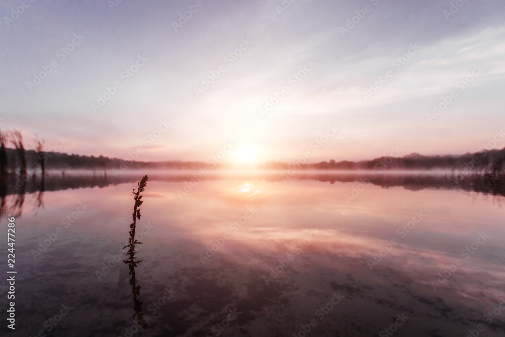 Fototapeta premium Beautiful, pink violet dawn over the lake. Fog over the lake, the rays of the sun, very dense fog, dawn, the blue sky over the lake, the morning comes, the forest reflects in the water.