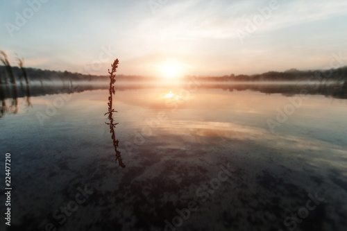 Beautiful, red dawn on the lake. The rays of the sun through the fog. The blue sky over the lake, the morning comes, the sky is reflected in the water.