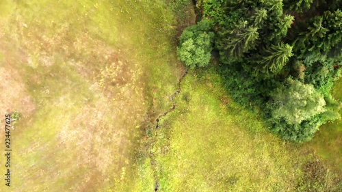 Wallpaper Mural Bergwald und Bach von Oben - Kameraflug Torontodigital.ca