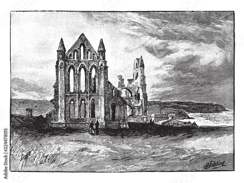 The Ruins of Whitby Abbey, vintage illustration.