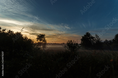 Beautiful foggy landscape, sunset. The fog glowing in the sunlight, above the meadow grass.