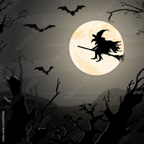 Halloween witch in front of full moon