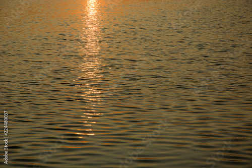 Sunlight on the water's surface