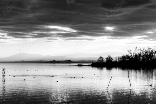 Beautiful view of Trasimeno lake at sunset with birds on water, trees and Castiglione del Lago town in the background