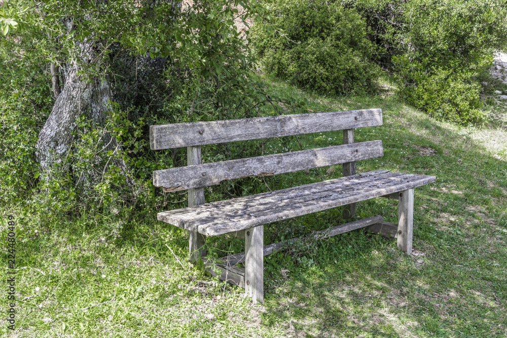 Wooden bench under the shade of trees Wooden bench under the shade of trees