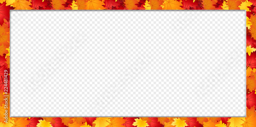 Vector rectangle border banner with fallen autumn maple leaves isolated with copy space