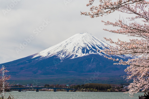 Mount Fuji.Foreground is a cherry blossoms.The shooting location is Lake Kawaguchiko, Yamanashi prefecture Japan.