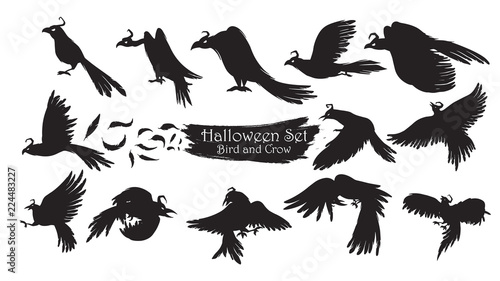 Spooky crow silhouette collection of Halloween vector isolated on white background. scary and creepy raven birds element