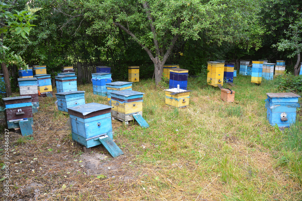 Colorful beehives in the garden. Colorful beehives in the garden.