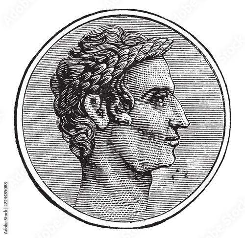 Julius Caesar, vintage illustration