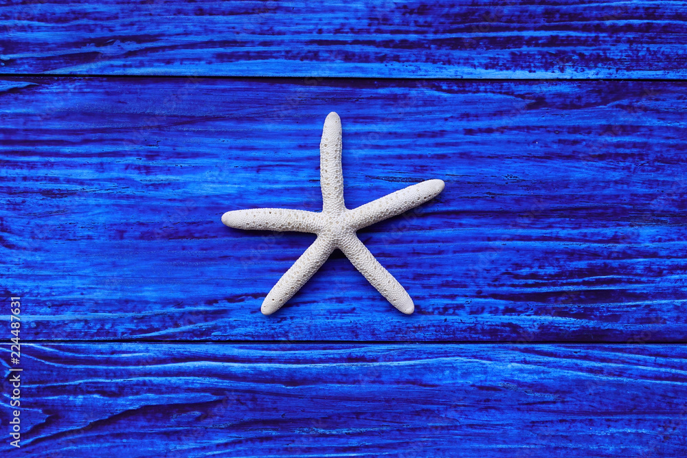 close up of starfish on a blue background close up of starfish on a blue background