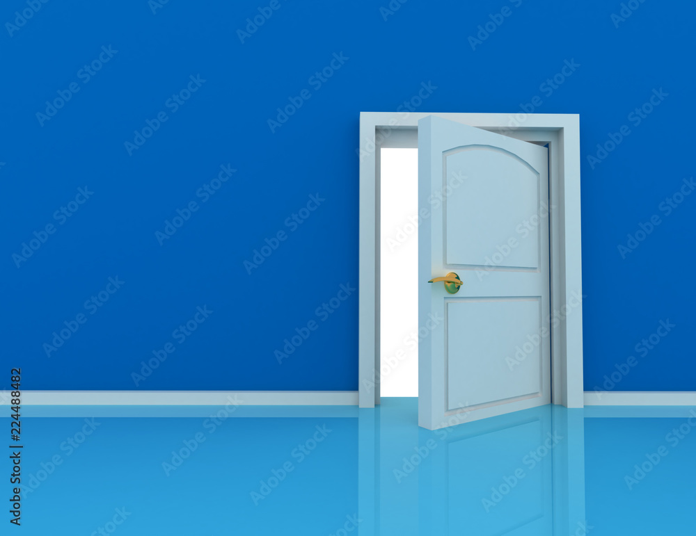 door concept door concept
