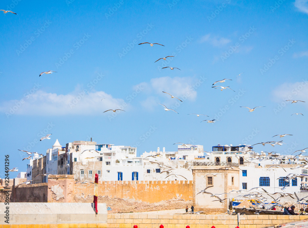Obraz premium A large number of gulls in clear blue against the background of the city of Essaouira. View from the port