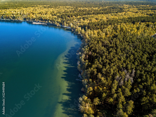 Aerial drone photo of green tree crones growing in lake shore, mixed autumn forest like a design pattern, top down view, countryside with tiny houses and piers on blue lake, privacy and tranquility © Maria Shaytor