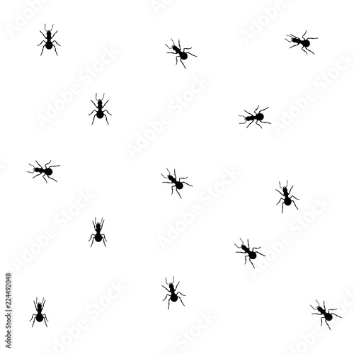 Ants seamless pattern © viktorijareut