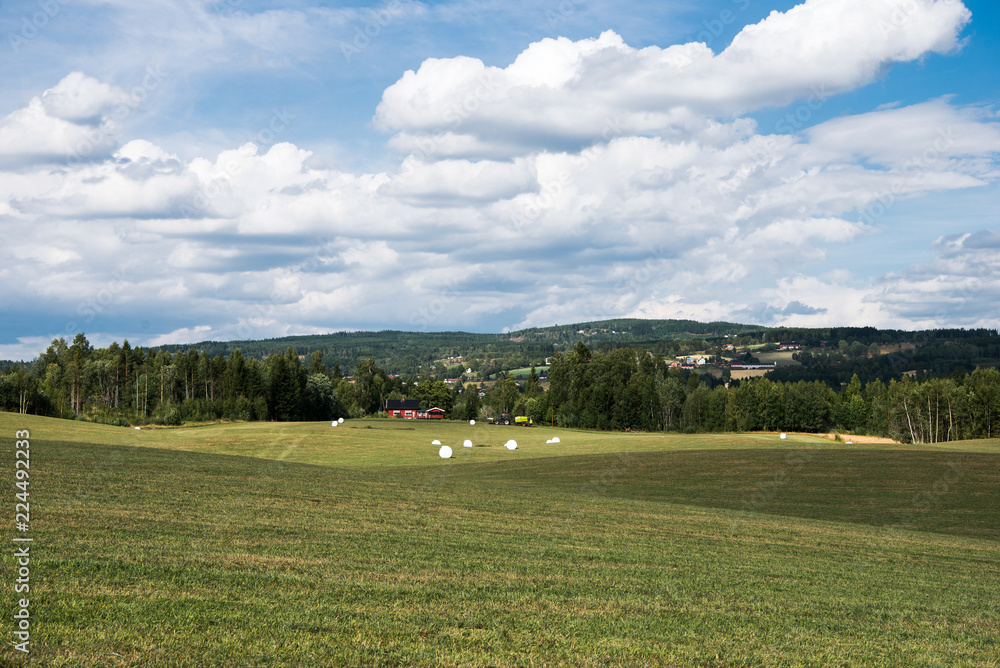 scenic view of green agricultural field under cloudy sky, Hamar, Hedmark, Norway
