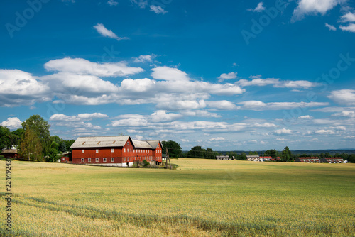 Fotografie rural scene with field and houses under blue sky, Hamar, Hedmark, Norway