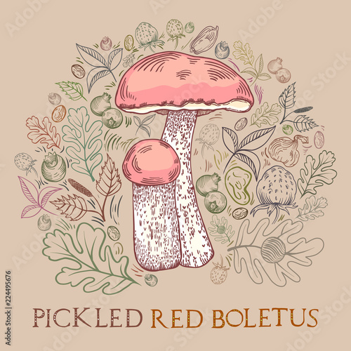 Pickled red-cap bolete mushroom with leaves, spices and berries