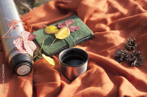  Thermos with hot tea in the forest. Concept picnic in the park.