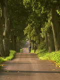Autumn country road, Poland around the town of Elblag