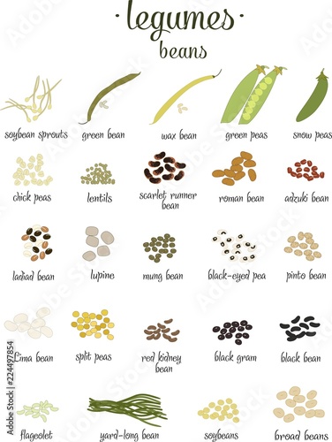 Vector set of Legumes and beans in flat style isolated on white