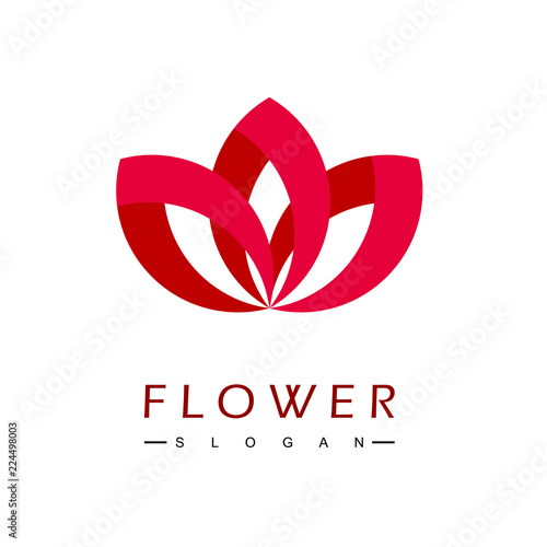 Flower Ornament Logo Design Vector