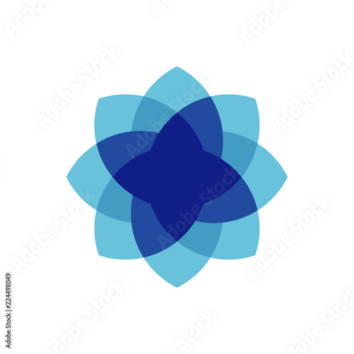 Flower Ornament Logo Design Vector