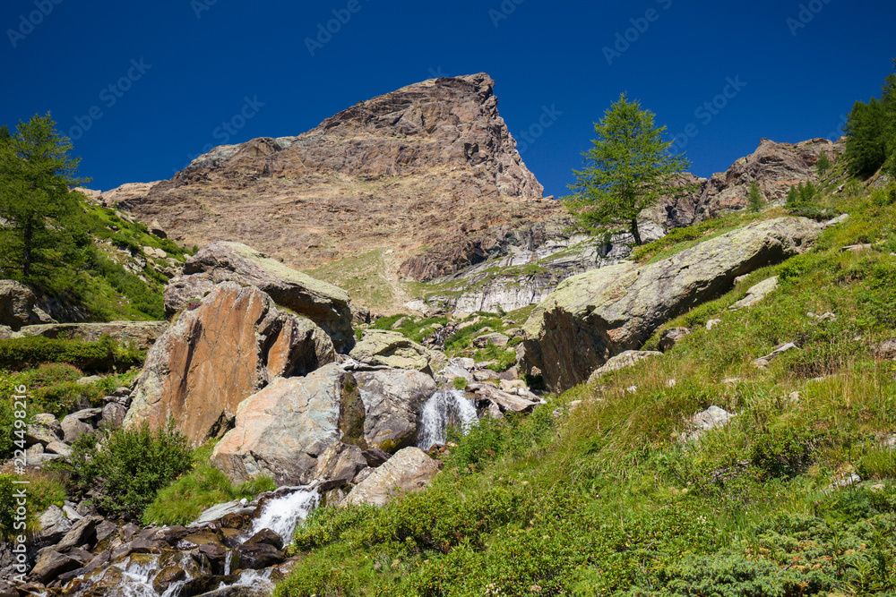 Landscape of flowery meadows among the rocks in the high mountains