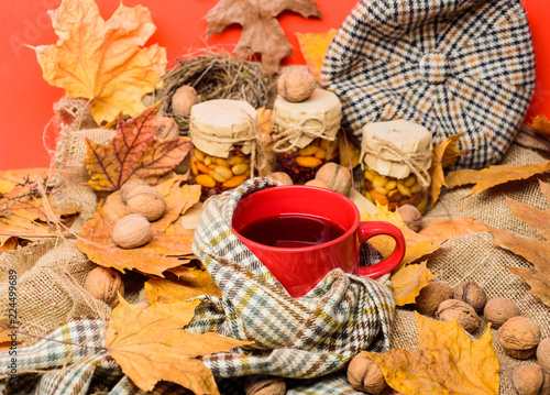 Warming beverage concept. Mug cozy aromatic tea beverage in scarf and treats. Cozy autumnal atmosphere. Mug of tea surrounded by scarf red background with fallen maple leaves and walnuts