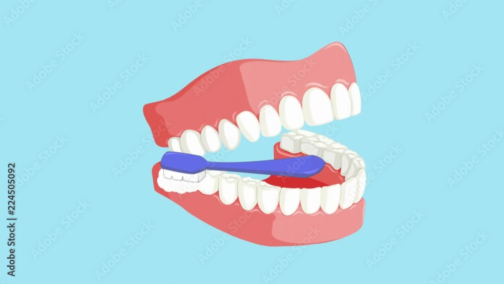 Dental Care - Vector Animation Dental Care - Vector Animation