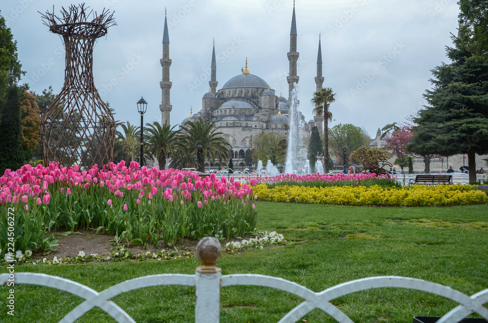 Tulip Festival in Sultanahmet Square and Sultanahmet Mosque, Istanbul