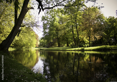 lake in the park