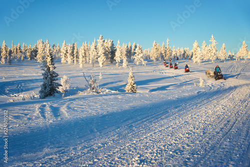 Group of snowmobiles in Lapland, near Saariselka, Finland photo