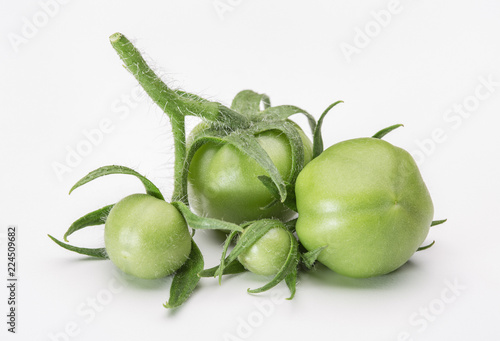 Unripe fruit of tomatoes on green stems.