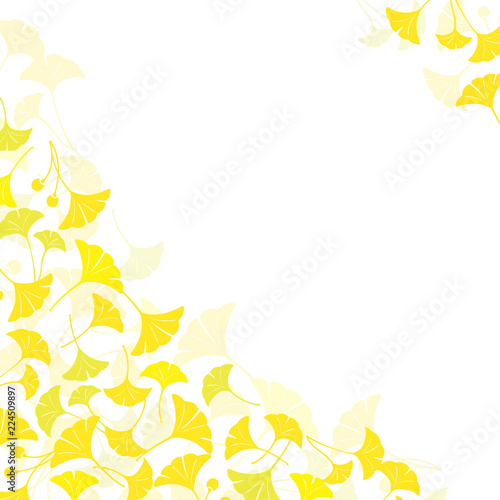 Ginkgo leaves frame on white background