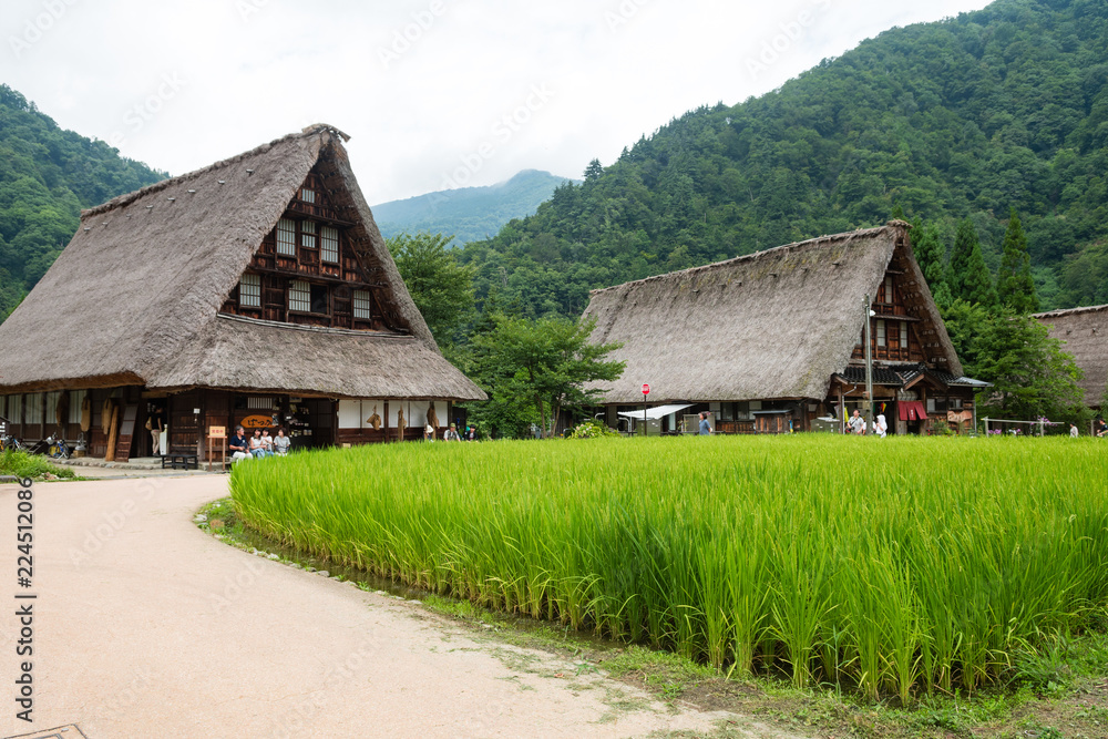 traditional Japanese village at shirakawago, Japan traditional Japanese village at shirakawago, Japan