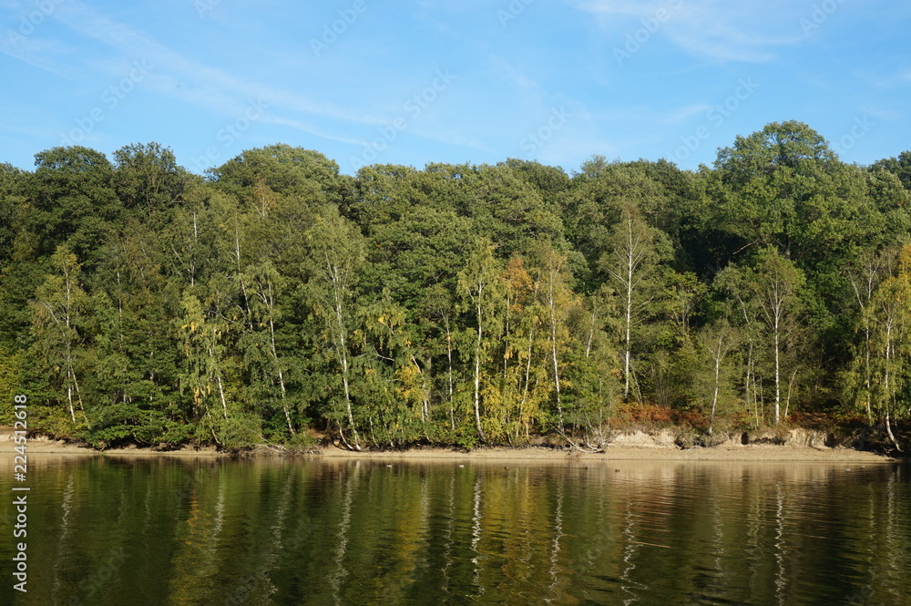 Fototapeta premium paysage d'automne