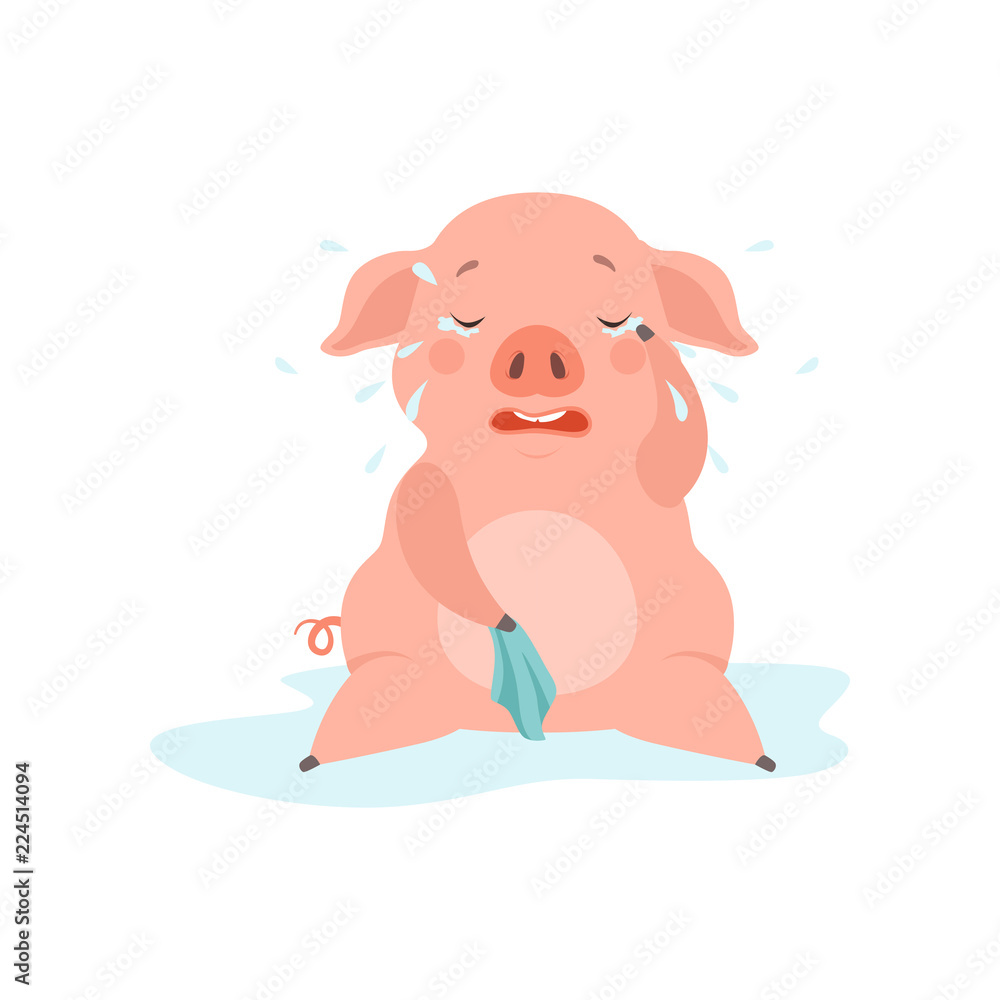Cute sad little pig crying, funny piglet cartoon character vector Illustration on a white background Cute sad little pig crying, funny piglet cartoon character vector Illustration on a white background