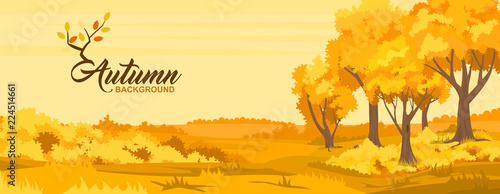 Autumn rural landscape